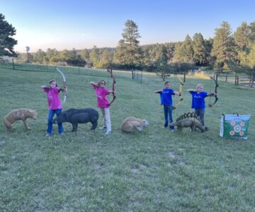 Colorado bowhunting association foundation